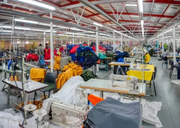 istockphoto-1967612837-612x612